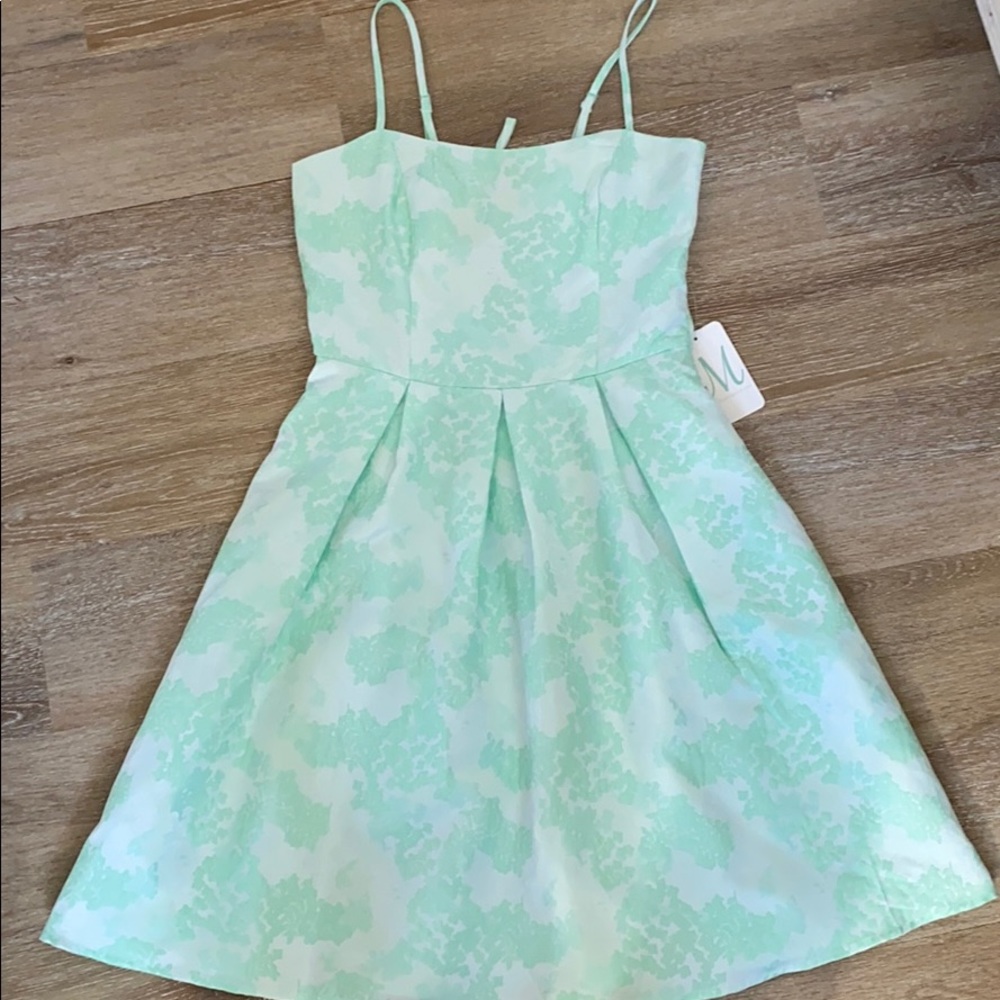 NWT spring dress